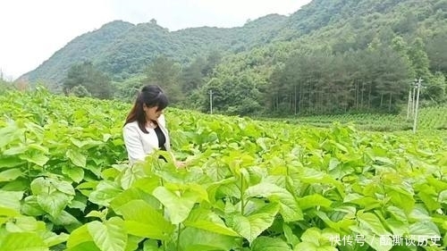 李白|一生游山玩水的李白,是如何写男女相思的?