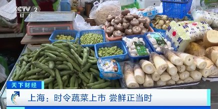 看着就想流口水！“春天的味道”卖到90元一斤 啥菜啊？