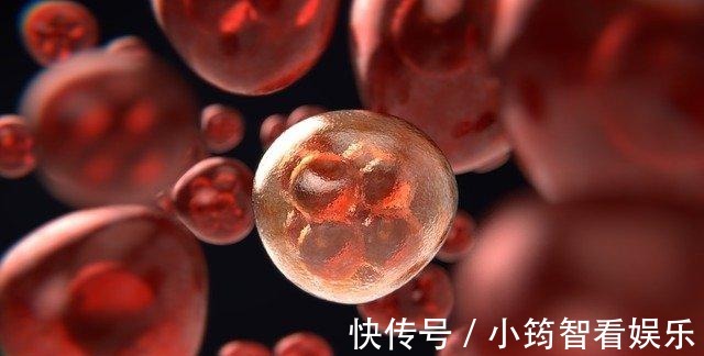 白燕聚|老得慢的女人有什么特点?提醒:保持3个习惯,或有助抗衰老
