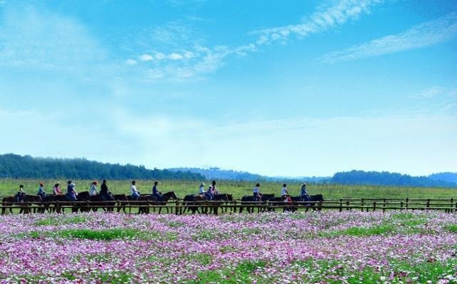 皇帝|南宋最后一个皇帝的故事