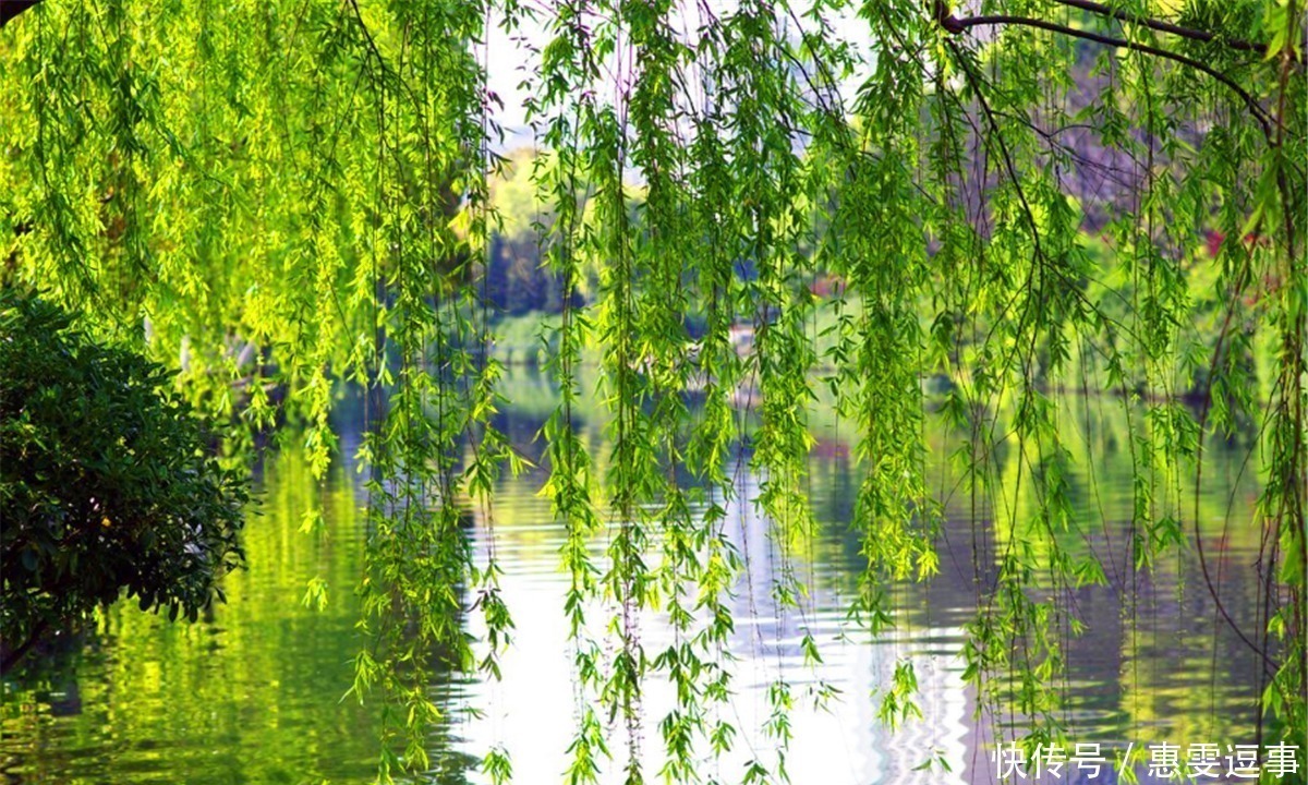 千古名句|南唐词人冯延巳这首词系南唐全盛时作,起首就是千古名句