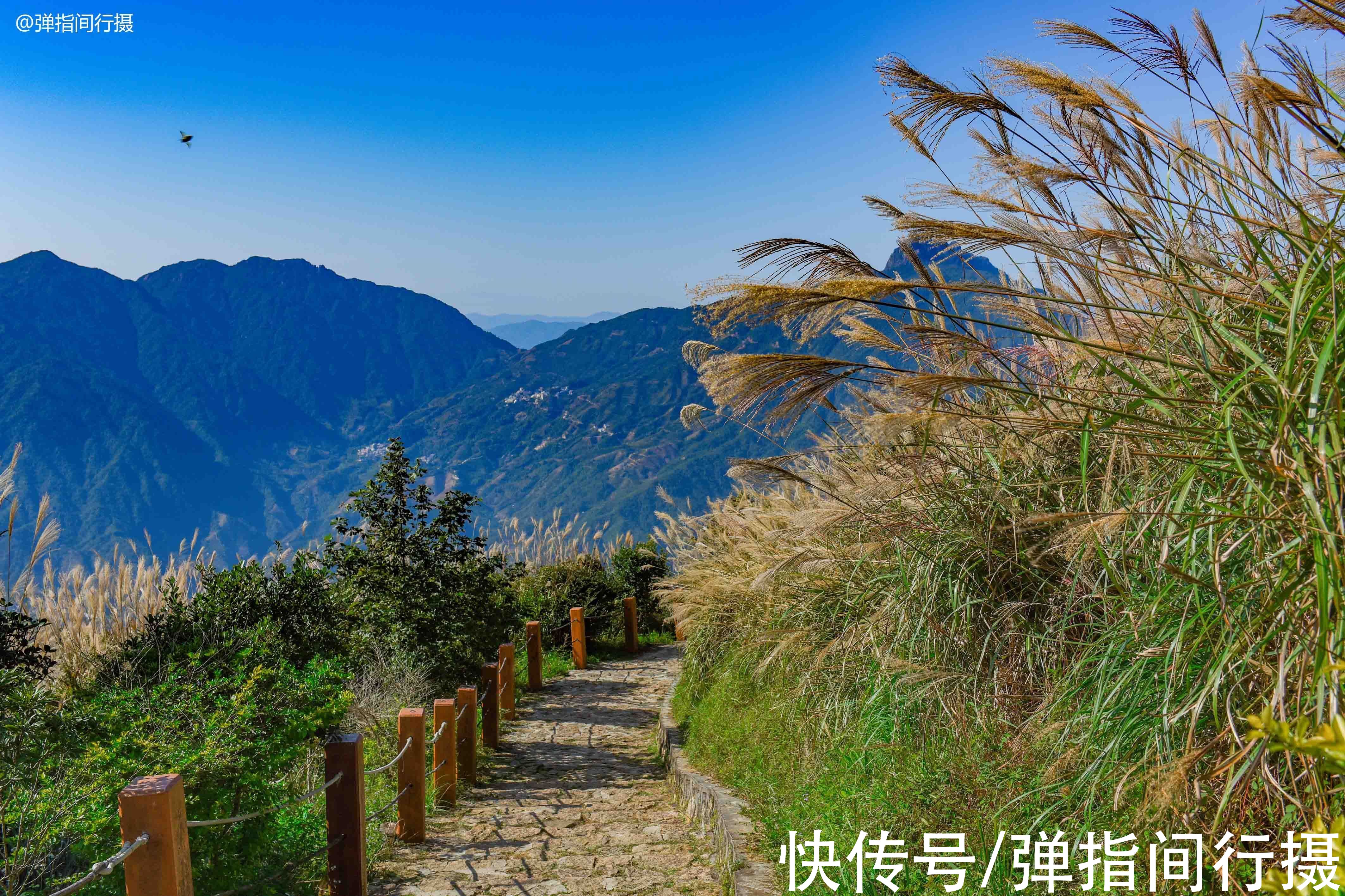 潮州市|粤东地区第一高峰，形似凤凰，美如仙境，满山都是“绿色金子”