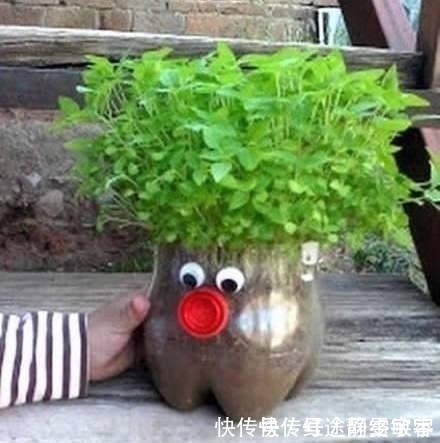 用完的洗衣液瓶千万别扔,它大有妙用!