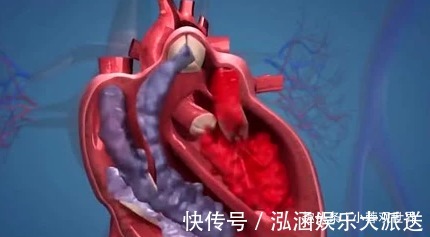 身体|人死后，身体里的血液都去哪了说出来你不相信！