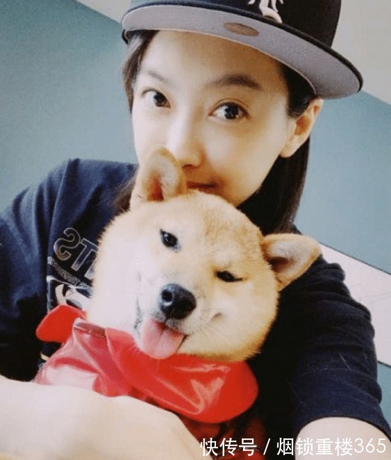 猪小八|《向往的生活》被领养的狗怎么样了看清宋茜的晒照热泪盈眶！