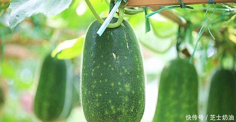 抗氧化剂|它是晒斑的''死对头'',每天坚持吃一点,挡住紫外线,肌肤年轻态