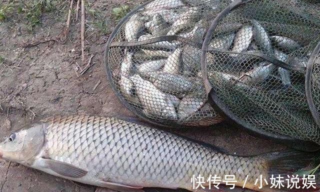 野钓|冬天一冷,鱼就不好钓,庆幸我有百试百灵的套路,每次钓完特过瘾