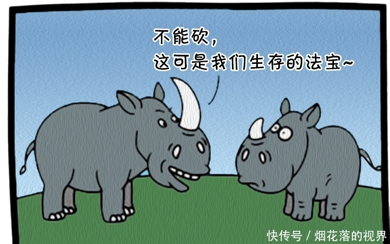 儿子|恶搞漫画：犀牛爸爸与犀牛儿子