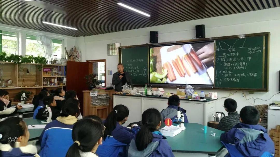 炫彩标本社生物课外活动小记