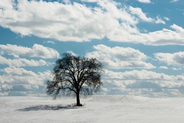 金匮要略|小寒之后，少吃什么，多吃什么，一次性全都告诉你！一冬都健康！