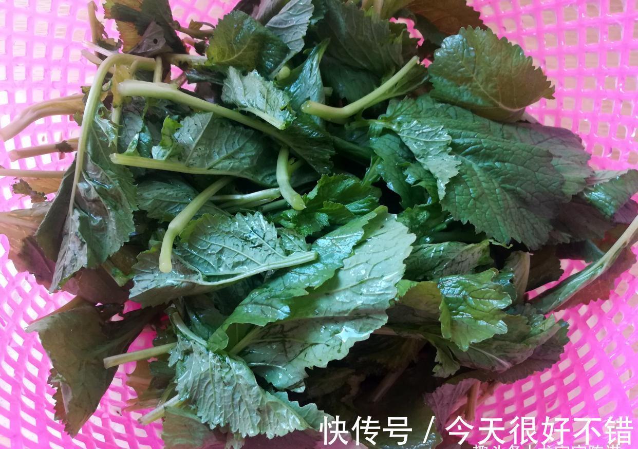 跟着我一起|秋天公认的瘦身汤,清肠刮油,一周吃3次,跟便秘说拜拜