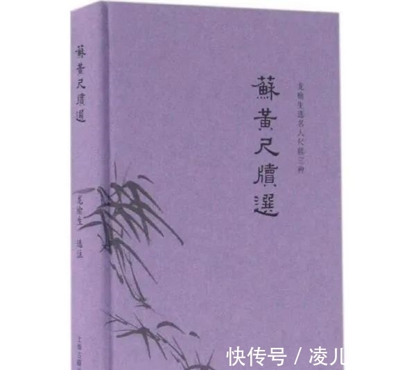 苏轼诗集!最受欢迎的20种苏东坡主题图书揭晓|伯鸿书香奖
