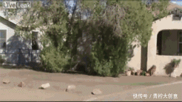 别再问美术生这三个蠢问题啦!美术生得罪谁了让你们这么欺负?