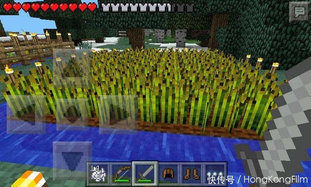 我的世界:随处可见的便宜小麦,被改造后,竟有如此强大的功能?