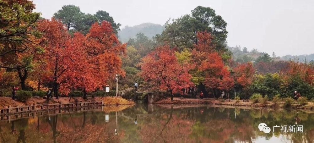 丁真：其实我想漫游苏杭！一起吗？