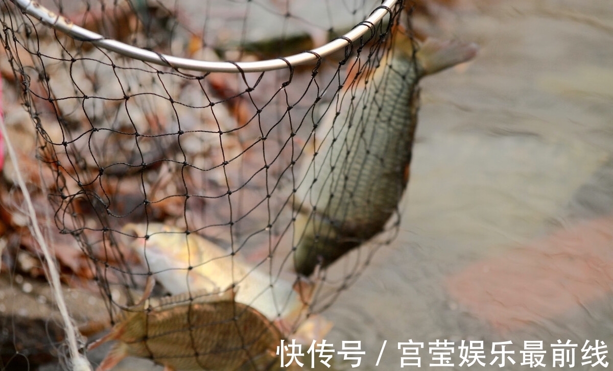 冬季钓鱼不用早起?老大爷起得比夏天还早,大板鲫用桶装!