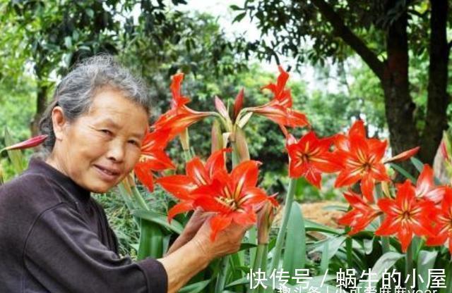 父母|长大“孝顺”的孩子,小时候大多有这些特征,家长不妨对照下