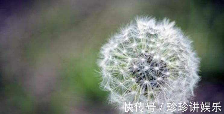 重要性|泡枸杞时加此物,肝毒没了,远离肝硬化、肝癌,肝会跪谢你的做法