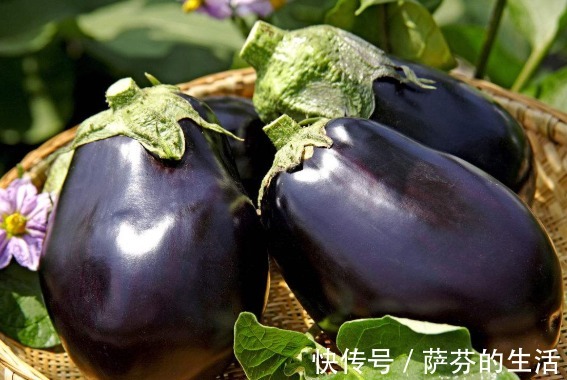 养生|金秋十月吃什么最养生不要错过7种软糯的应季食物