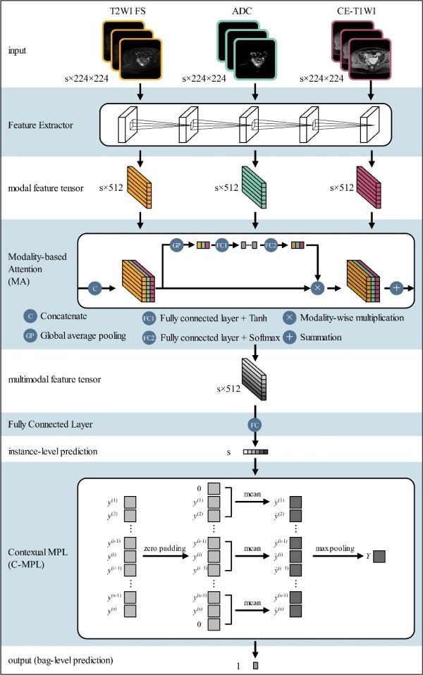 -net|苏州医工所在卵巢癌术前精确诊断研究中取得进展