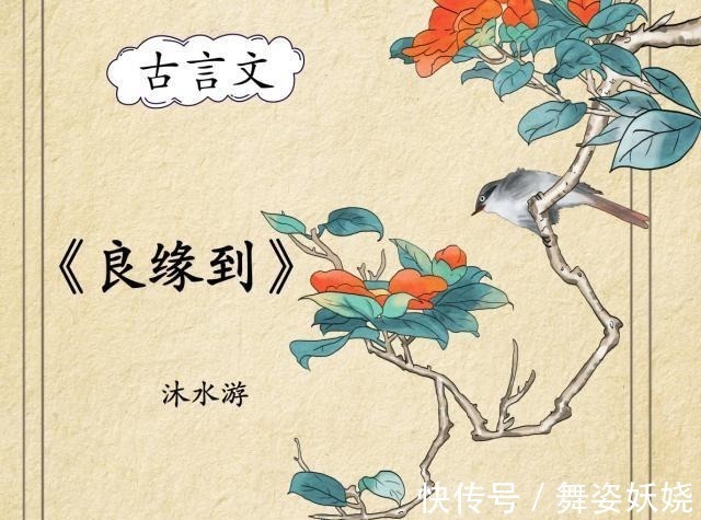 江山不悔#高文笔古言,强推明月珰笔下小说,腹黑胜过容止,宠妻不输容景