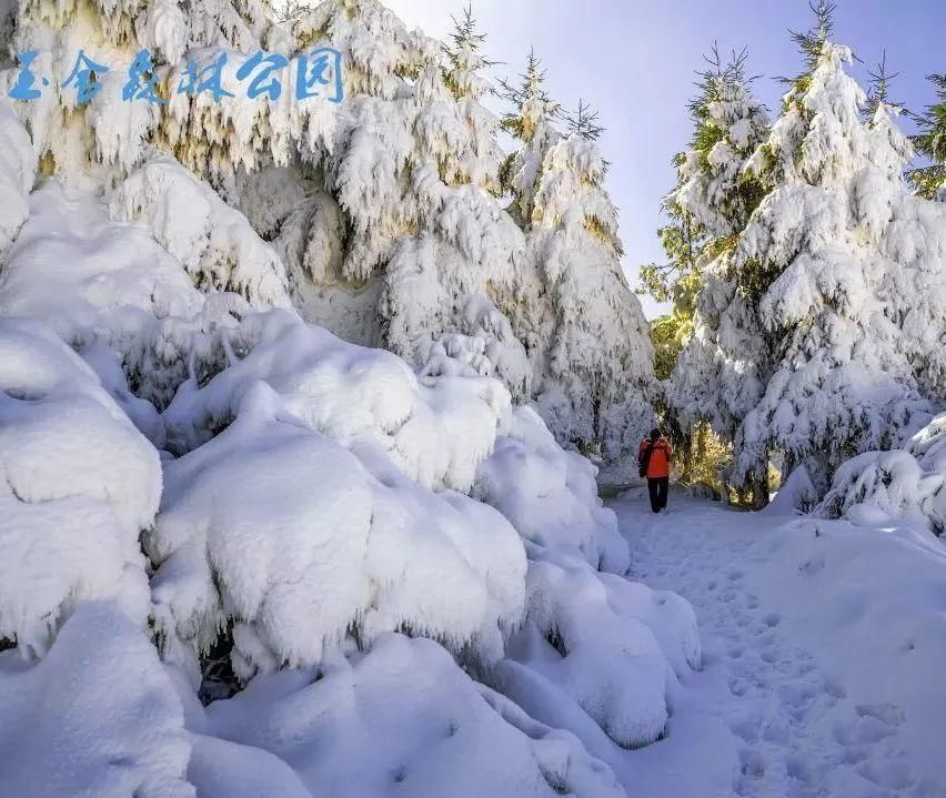 中年|春节遇上情人节，你的出游计划制订了吗？