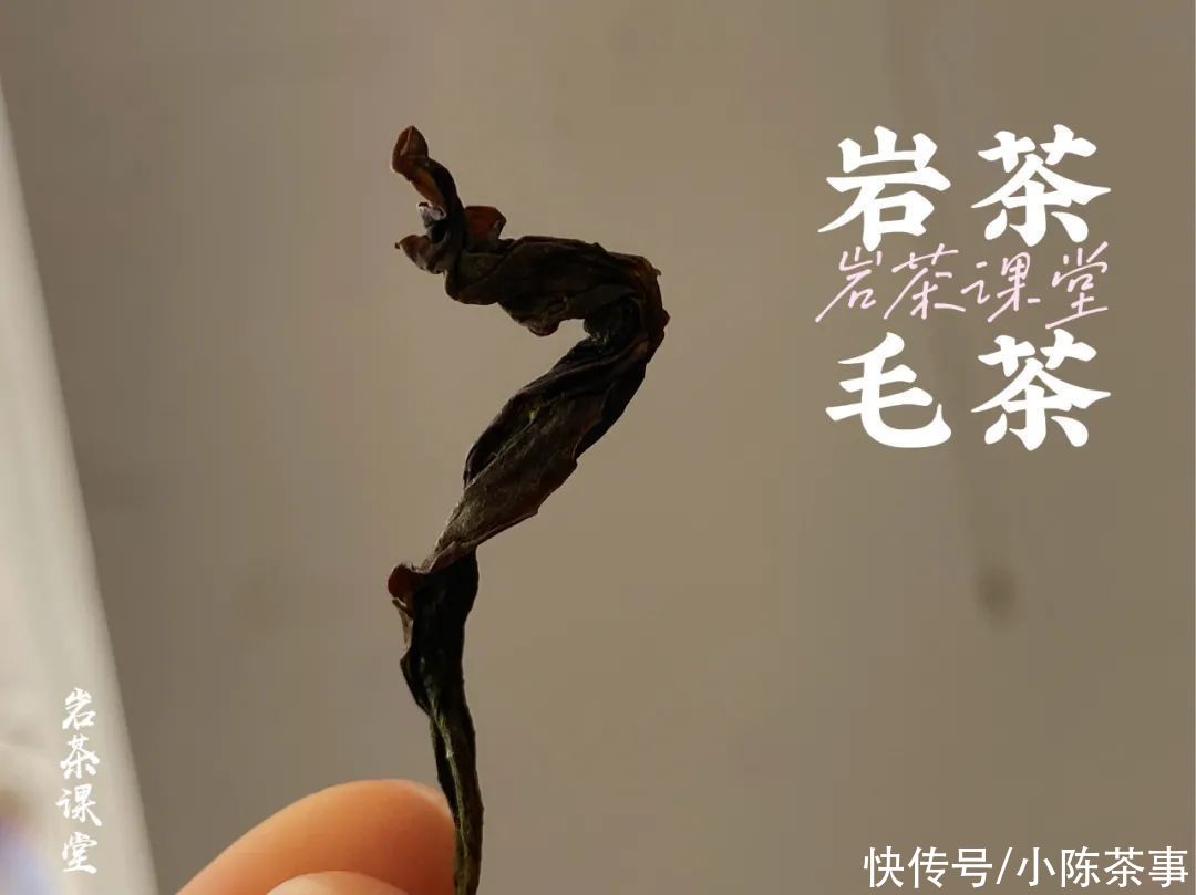 岩茶毛茶|岩茶毛茶，能喝出香清甘活吗？茶掌柜直言不讳：纯粹作秀而已