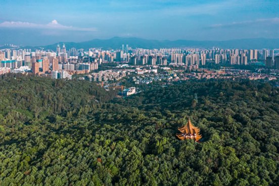 世博|一座美术馆与400年金殿的面子和里子
