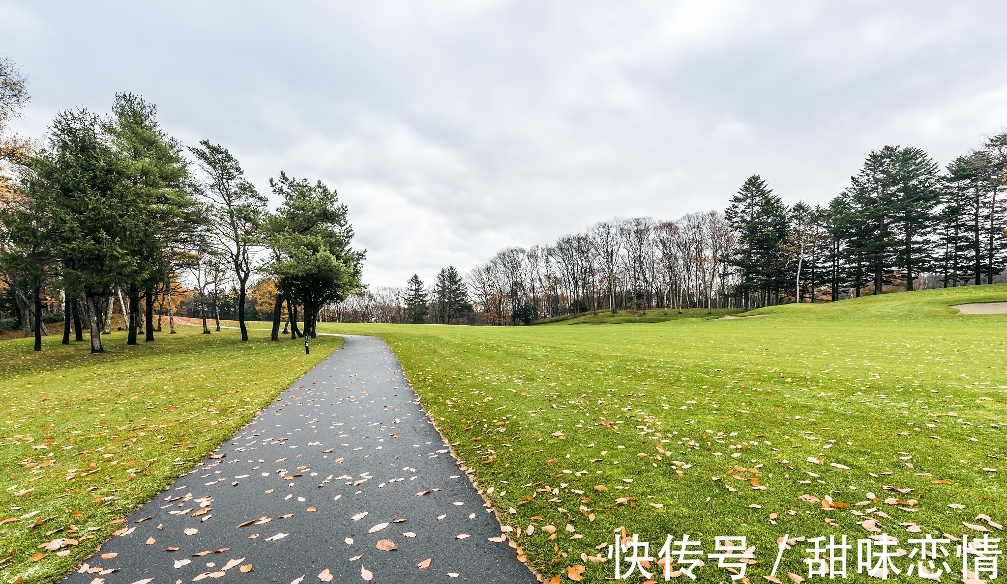 诗词#近体诗/七绝.秋兴之十一一见落叶生感慨(附悬联并求对)