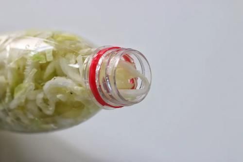 矿泉水瓶|想吃东北酸菜，现在腌制也不晚，教你简单做法，零失败