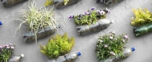 还在用花盆种花不如改造一下塑料瓶，省钱实用又好看