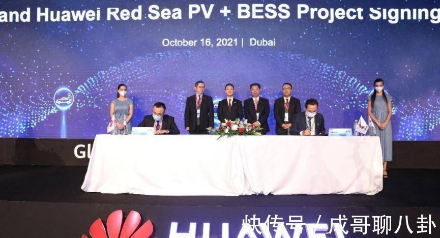 华为|刚拿下迪拜千亿大单,又一西方国家要采购华为设备,任正非赌对了