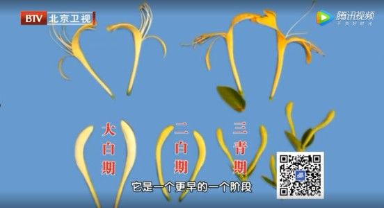 癌症|身体4个部位最怕“硬”，关节痛、心脑血管病、癌症……都与它有关！这份保养秘籍快收好