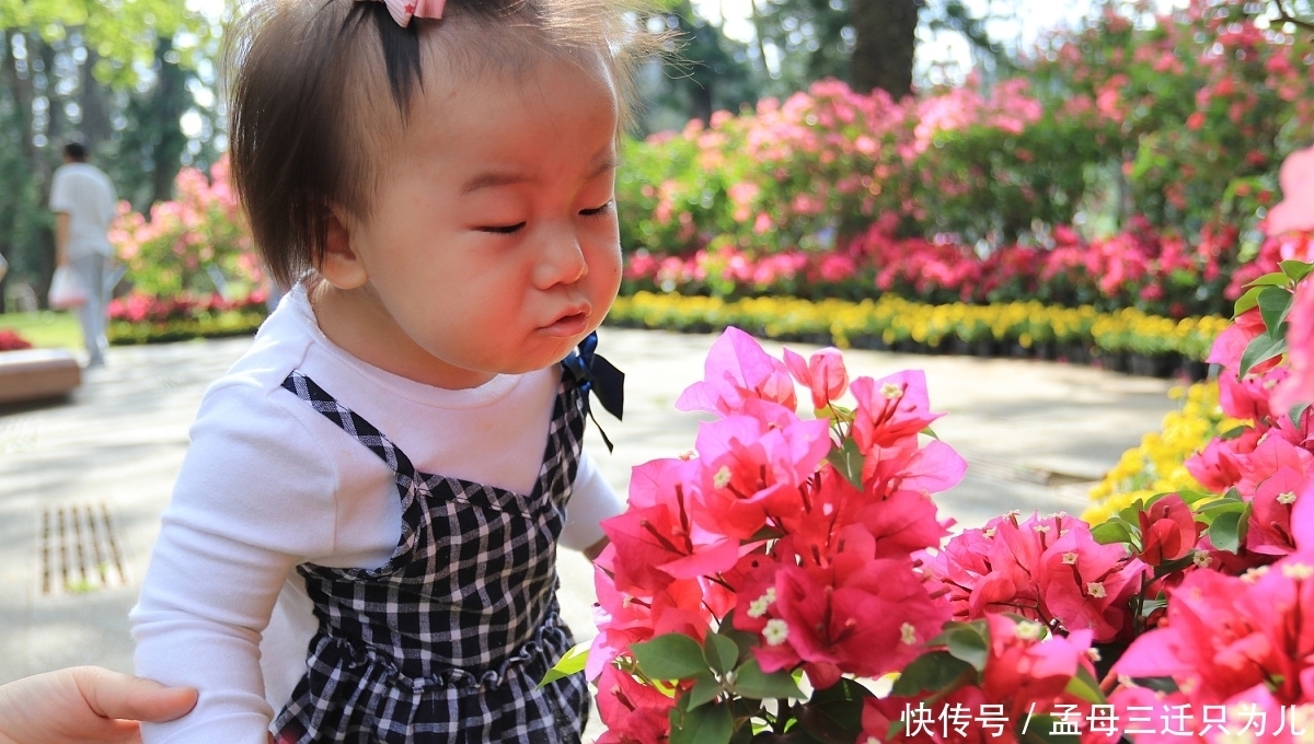 冬季如何让三角梅开花?3点很重要,你做对了吗?