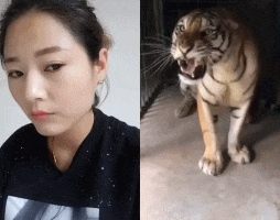 |搞笑GIF:要不是女朋友来医院看我 说不定我早已经出院了