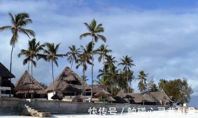 执念|旧爱难忘,不曾放手,执念重重,相思未了,和好如初