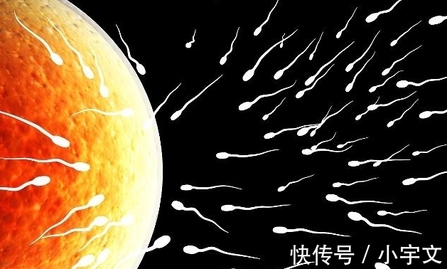生育能力|生育力强的男性,通常会有3个共性,你家老公中几个?