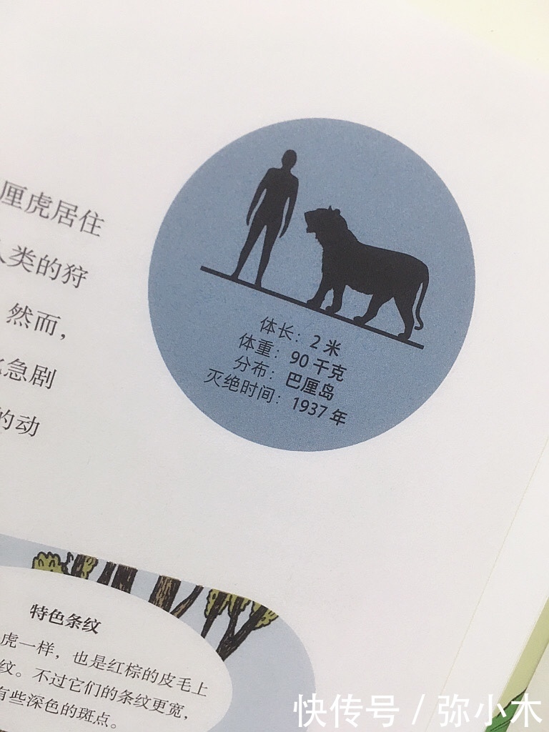 地球奖|阅读“地球奖”儿童科普读物,探寻少年的力量