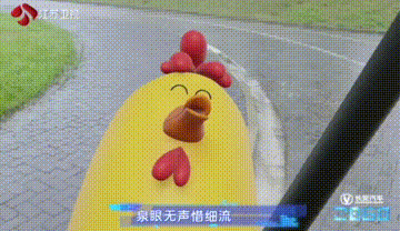 逗趣耍宝“电视鸡”:欢笑的背后,还有励志正能量