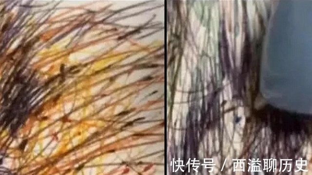 虎头|美术生的怪癖没人能懂,作画实在让人脑壳疼,看到虎头后分分夸赞
