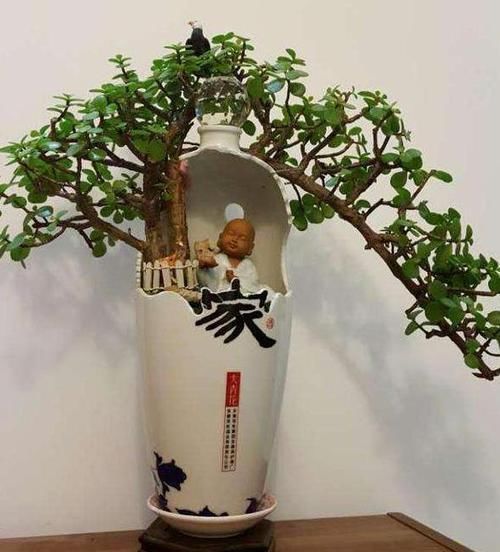 下部分|家里养花怎能少了它们!当花盆,独特、美观又省钱!