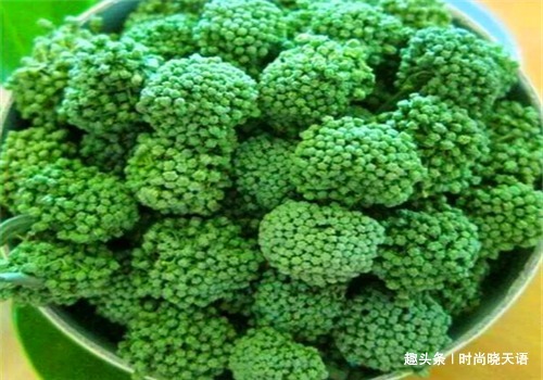 子宫|女性要美容,离不开4种食物,滋阴降火,净化血液,滋养女性子宫