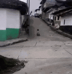 |搞笑GIF:姑娘 是时候找个男朋友了