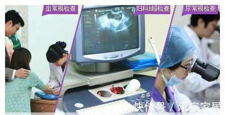 排卵期|备孕三个月,成功怀孕,分享4条经验,备孕的你可以试一试