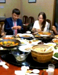 |搞笑GIF段子:家里的蚊帐都快被这傻狗的玩坏了