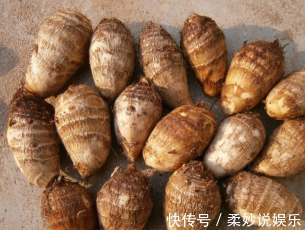 常吃|女性体重上了120斤,常吃3种食物,尤其第3种,堪称减肥利器