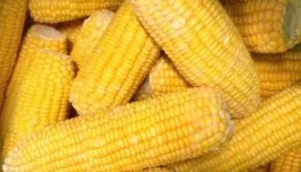 纤维素|常吃玉米好处多，明目养肝，助消化，但也有一大禁忌，了解下