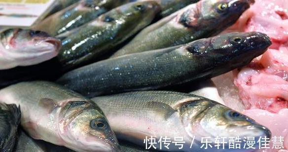 买鲈鱼时,别捡大的买,认准这4种,肉细嫩味道鲜,都是品质好鱼