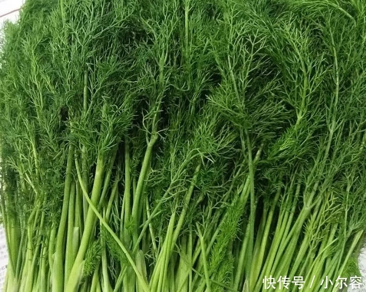 茴香馅|婆婆用此菜包饺子,隔一周吃一次,补水又刮油,冬天常吃长颜值