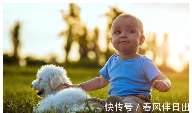 规律|成长规律决定了,孩子只有玩嗨了,将来才更容易开窍